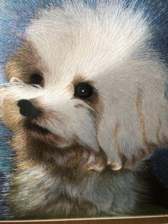 犬の絵画。珍品です。