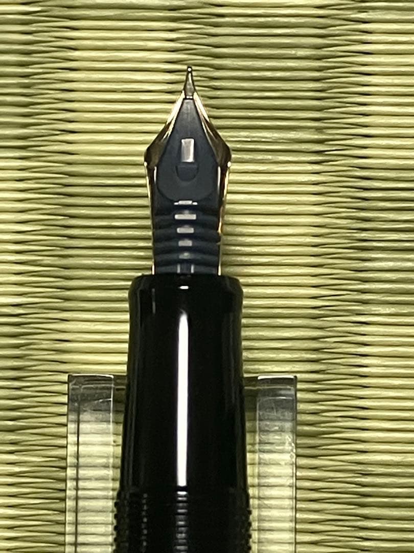 Pilot　パイロット 平蒔絵　万年筆 葡萄　F（細字）