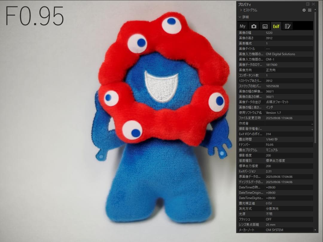 Voigtländer NOKTON 25mm F0.95 +α