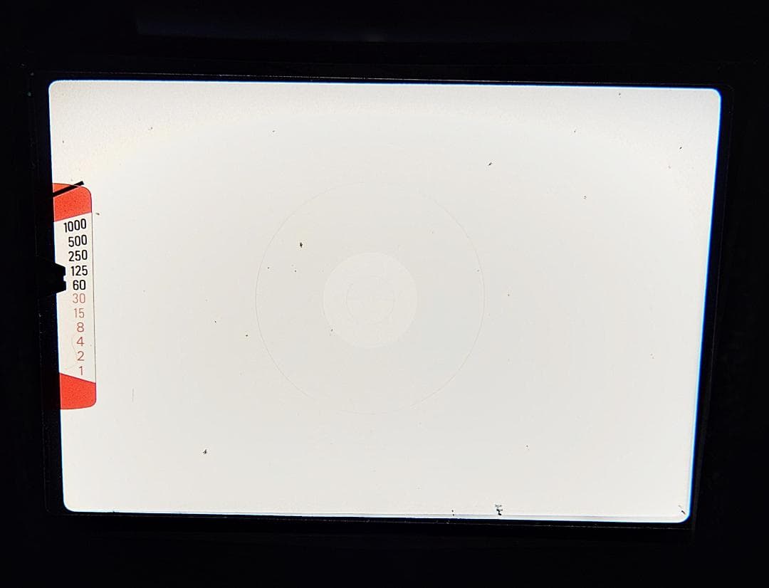 【完動/美品】Nikon ニコン EM 一眼レフフィルムカメラ ボディ