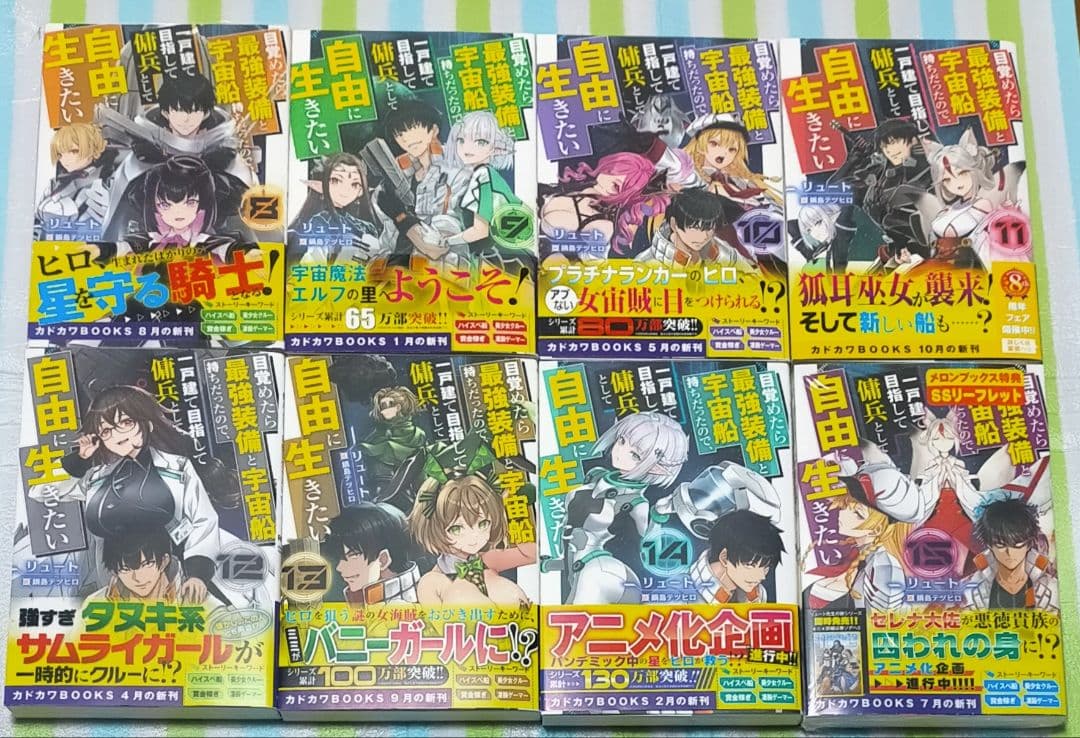 目覚めたら最強装備と宇宙船持ちだったので、一戸建て目指して傭兵として自由に生き…