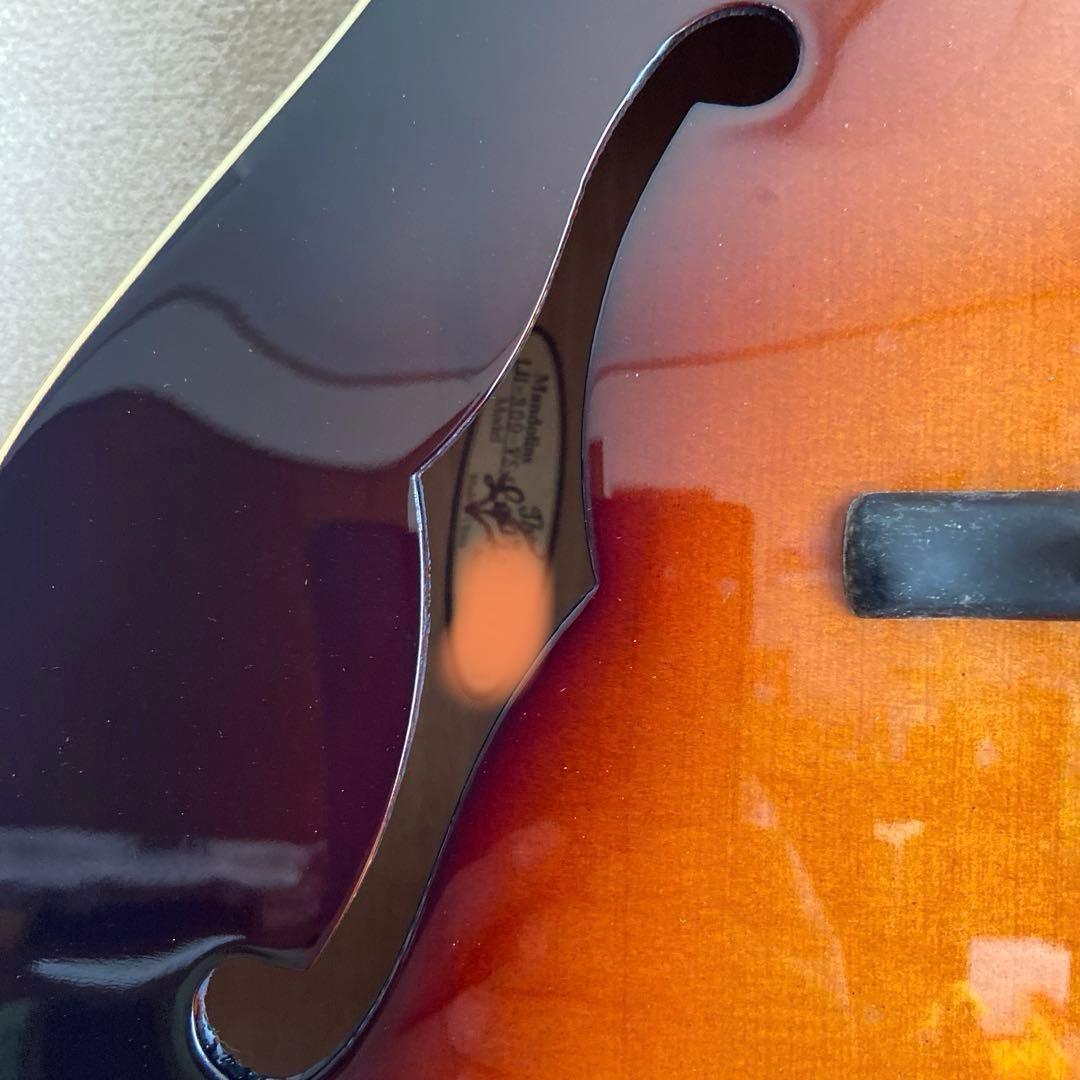 LOAR LH-309 フルアコ エレキギター ロア