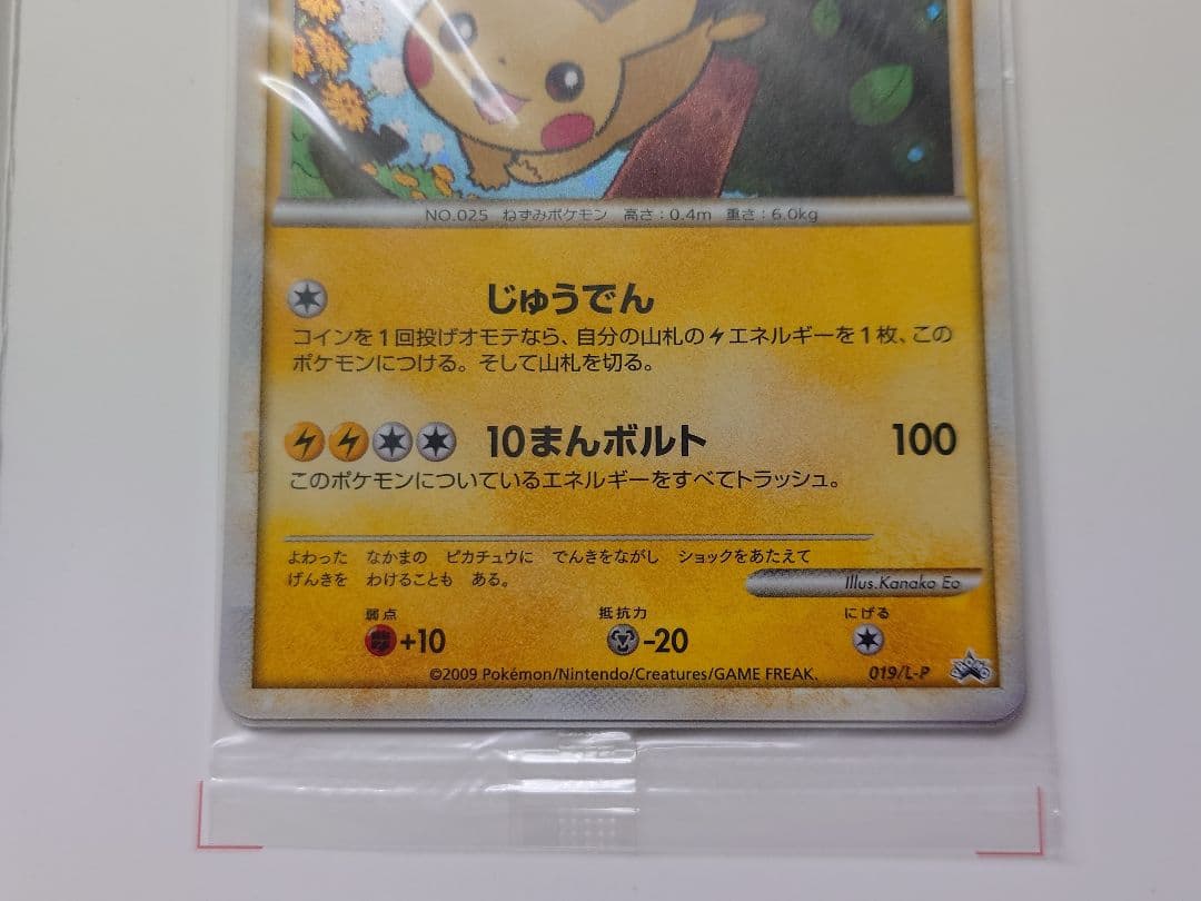 ポケモンだいすきクラブ　プロモ　ゴールドランク　019/L-P　未開封　封筒付き