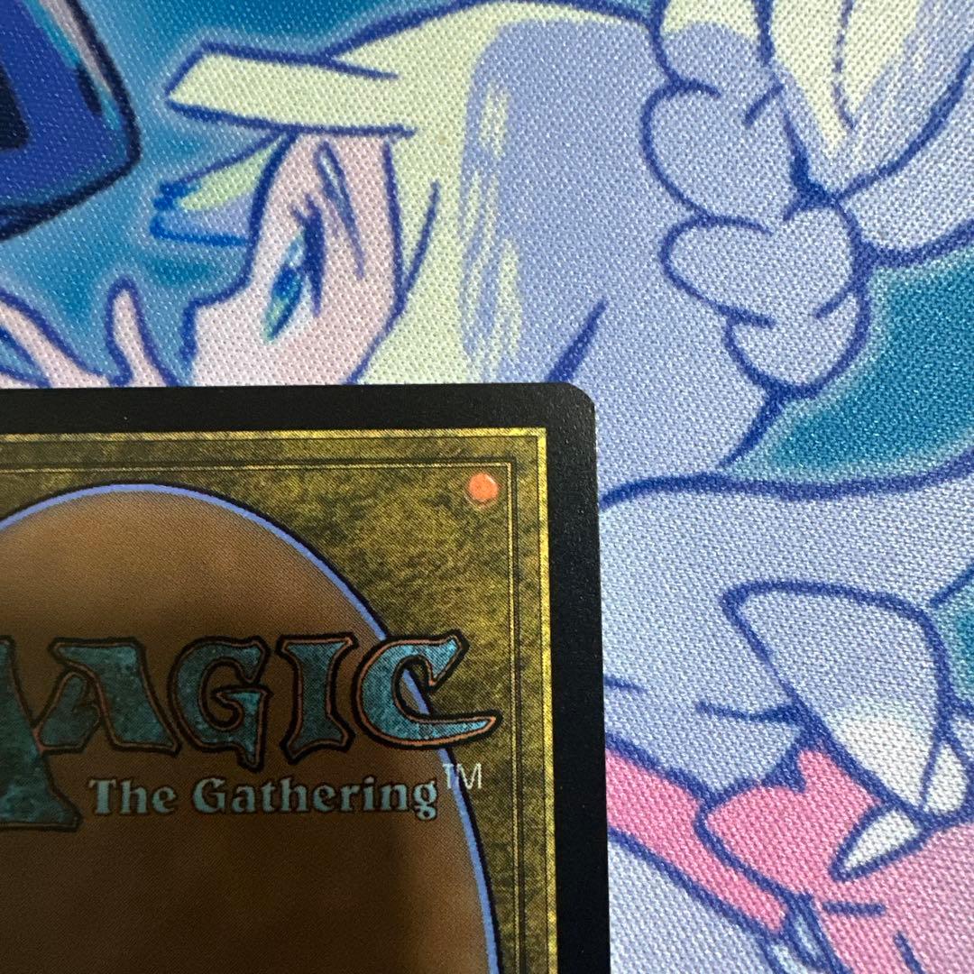 しろくまさん　専用