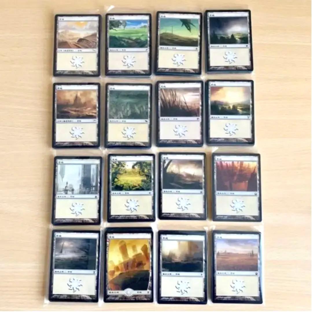 MTG 日本語 基本地形 基本土地 全コンプリート 4ED〜ZNR コレクション