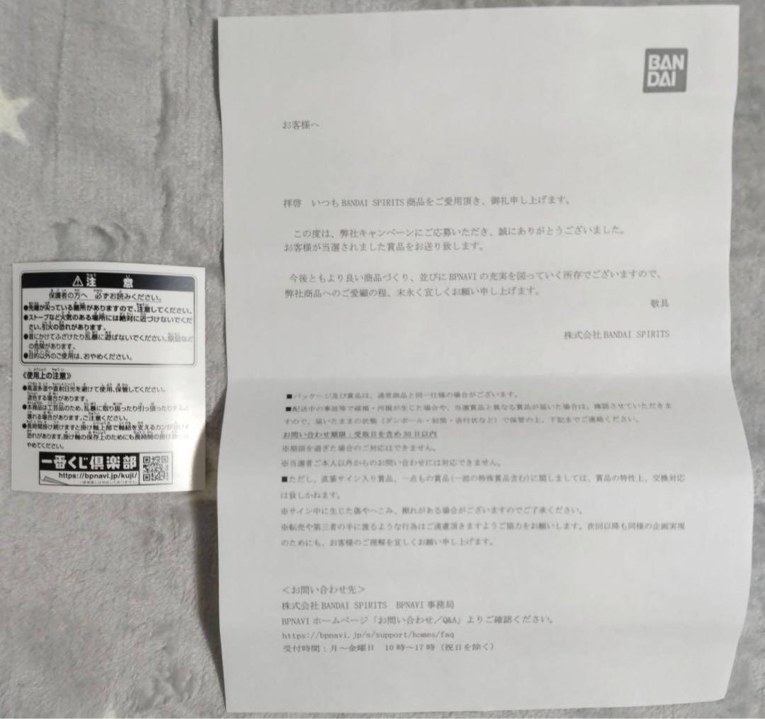 一番くじ ワンピース 匠ノ系譜 トリプルチャンスキャンペーン 墨式 掛け軸 サボ