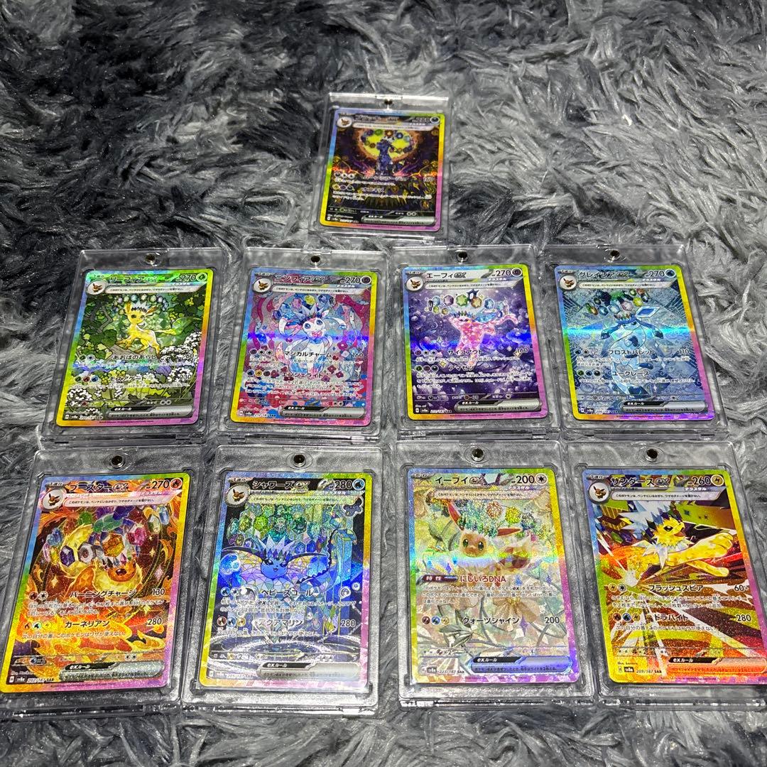 テラスタルフェスゴットパック9枚セット 美品