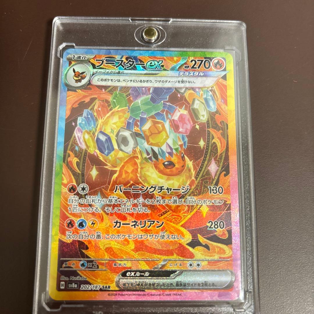 テラスタルフェスゴットパック9枚セット 美品