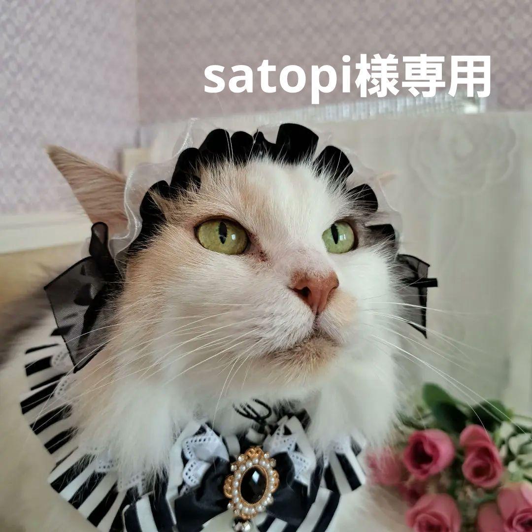 satopi、ハロウィン仮装♥️ベッドドレス、わんちゃん猫ちゃん用
