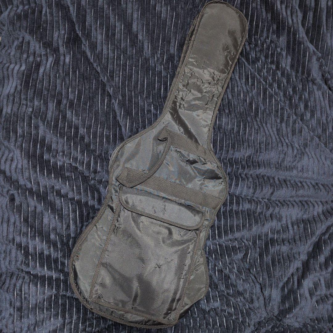 レスポール・タイプ ／ BUSKERS (バスカーズ)