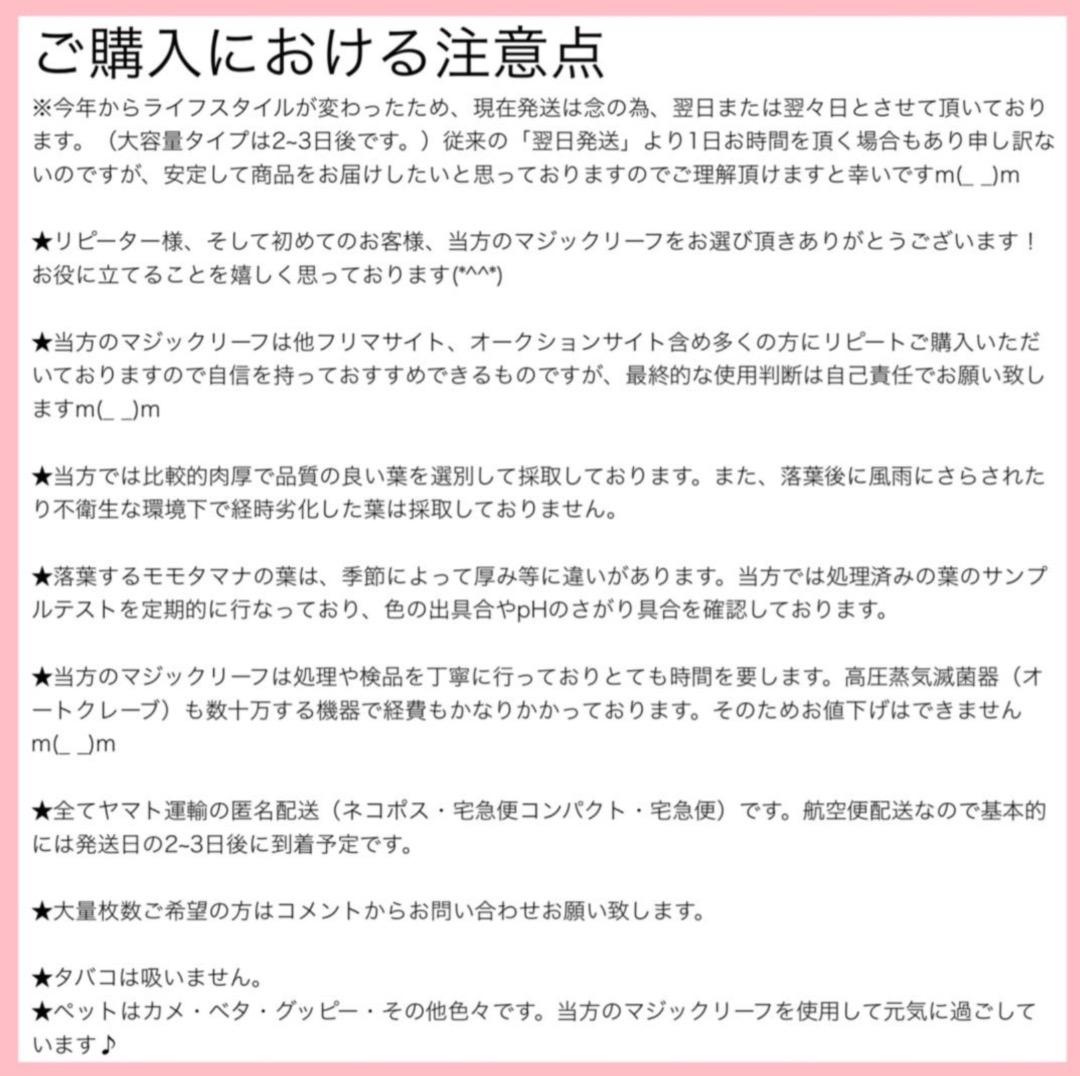 お徳用！サイズランダム400g高圧蒸気滅菌沖縄県産無農薬モモタマナ