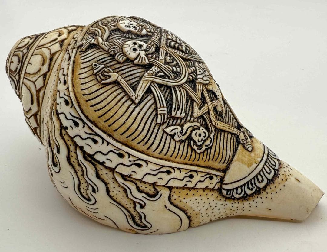 ◆チベット密教法具　法螺貝（シャンカ）チティパティ-3