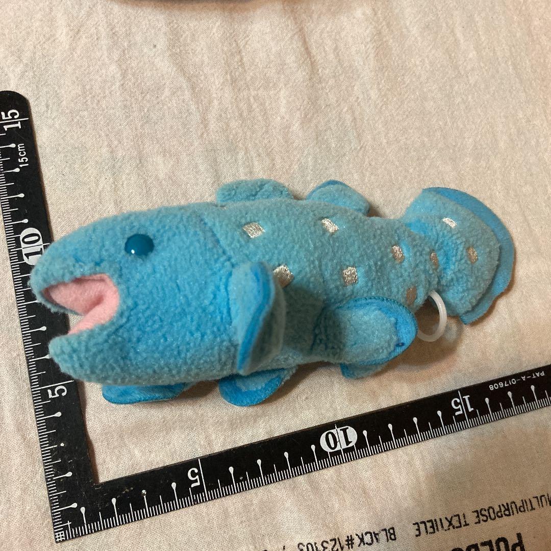 ぷるるんマリン　シーラカンス　ヒモ引っ張りブルブル　綺麗目