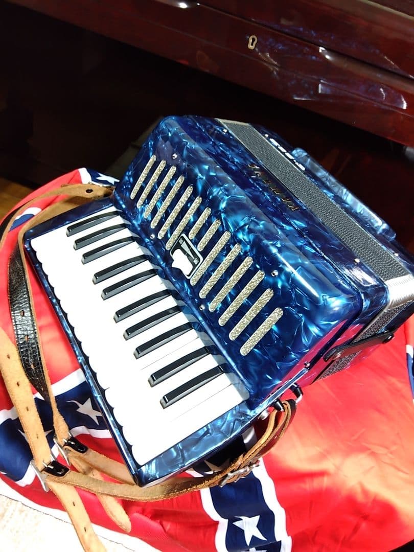 【可愛いレア品音出OK】YAMAHA T25B テナー（中音域）アコーディオン