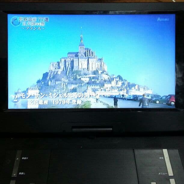 【tm】14インチ ポータブル DVDプレイヤー