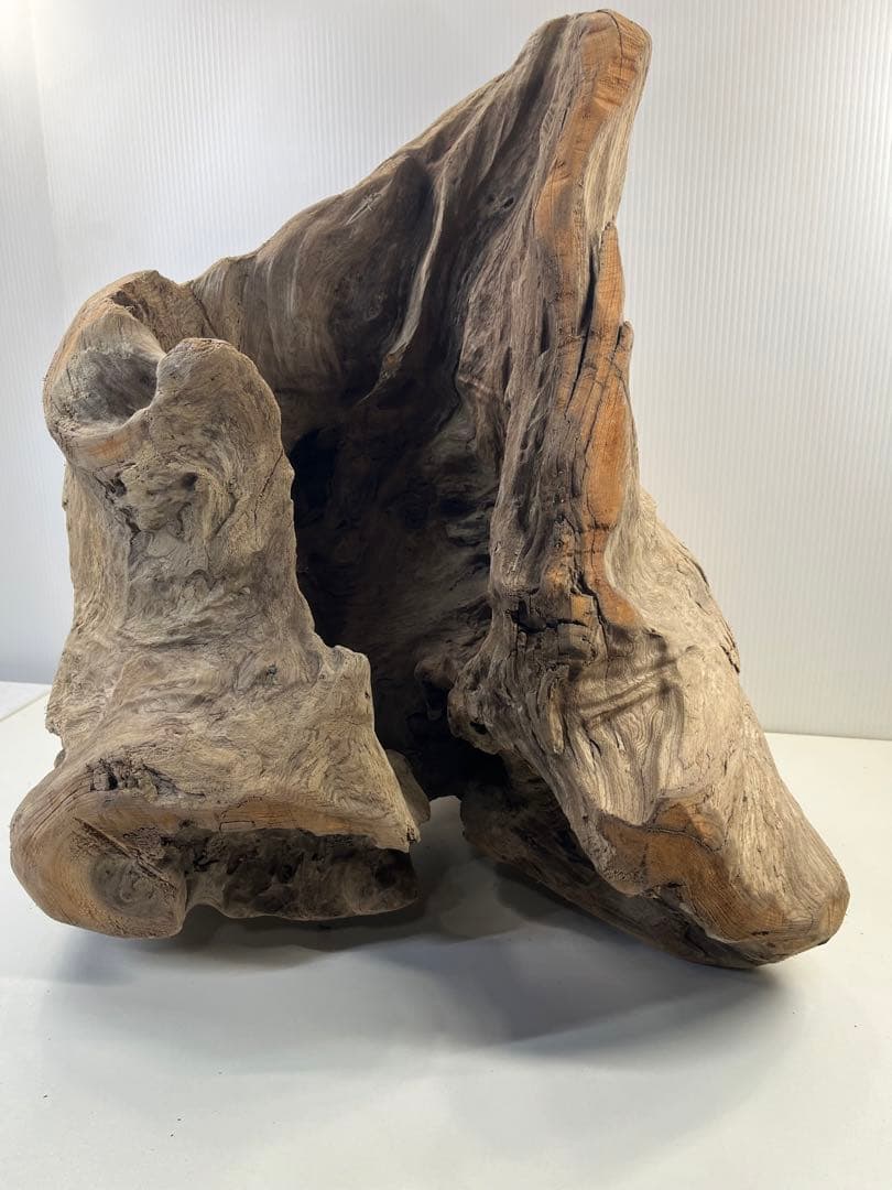 k64大型流木 アク抜き済み 爬虫類シェルター レイアウト用 登り木 インテリア