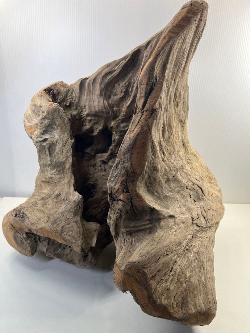 k64大型流木 アク抜き済み 爬虫類シェルター レイアウト用 登り木 インテリア