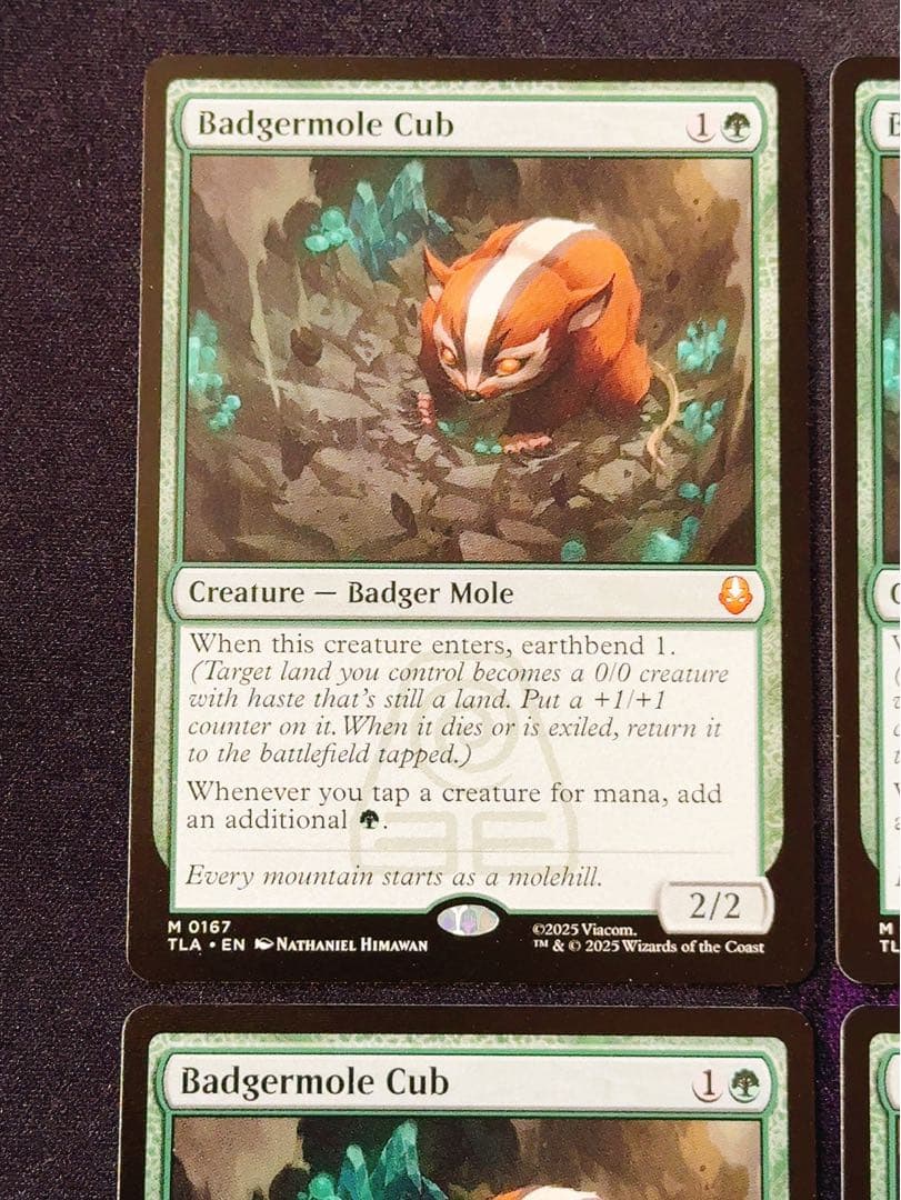 アナグマモグラの仔　英語　4枚セット