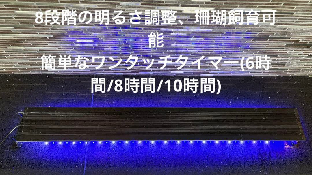 90㎝水槽　スリム水槽　オーダーメイド フード付　海水魚水槽　珊瑚　LEDセット
