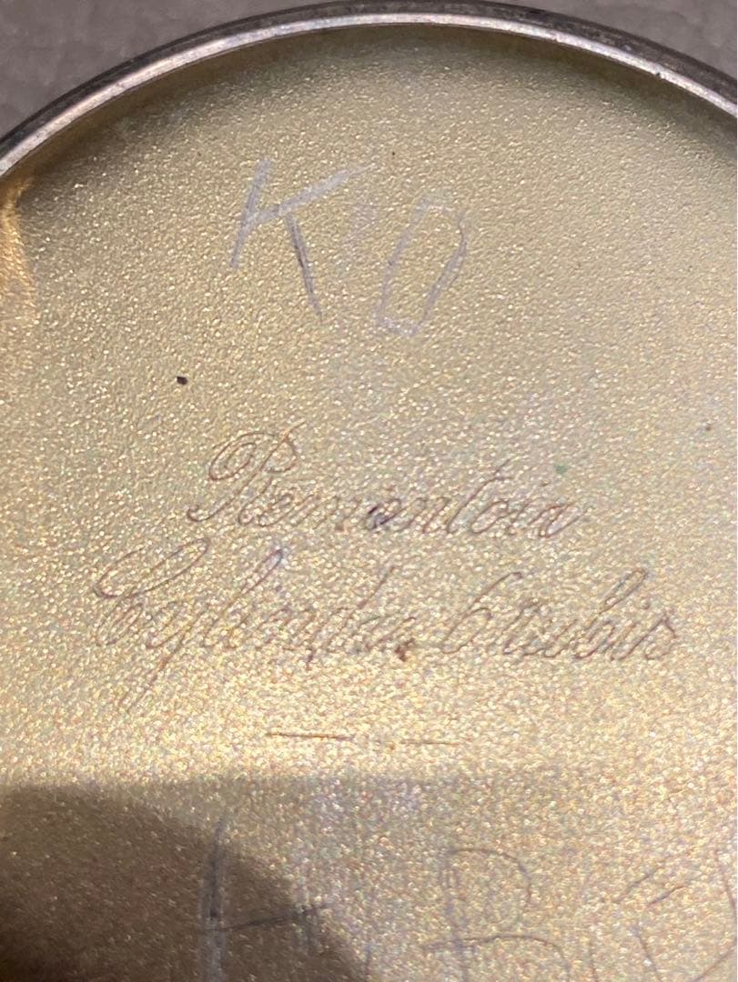 大戦前ドイツ製　ドイツ軍将校用銀製手巻懐中時計 ナチドイツ突撃隊　作動品　純銀