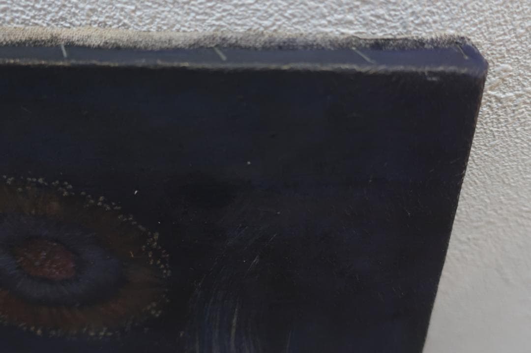 斎藤真一　絵画　両国の花火