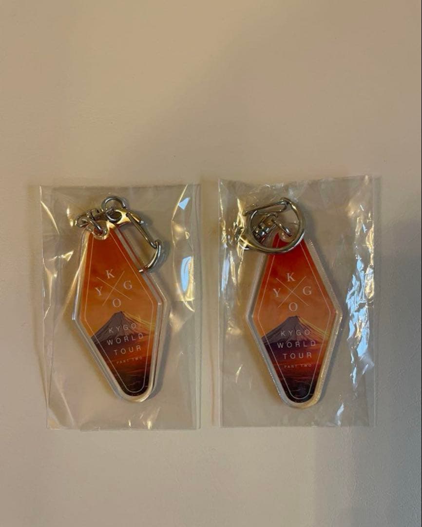 KYGO KYGO WORLD TOUR PLATINA席限定グッズ