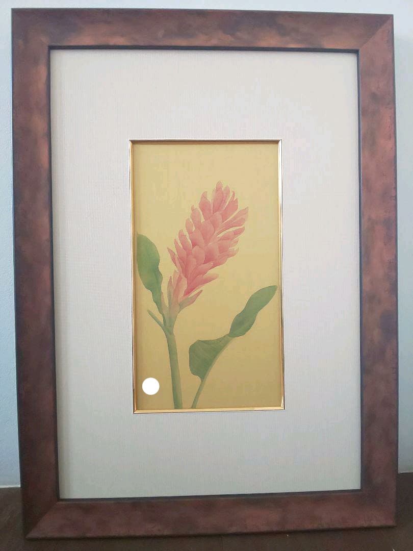 絵画 額付き ヒメバショウ 絹本 花鳥画