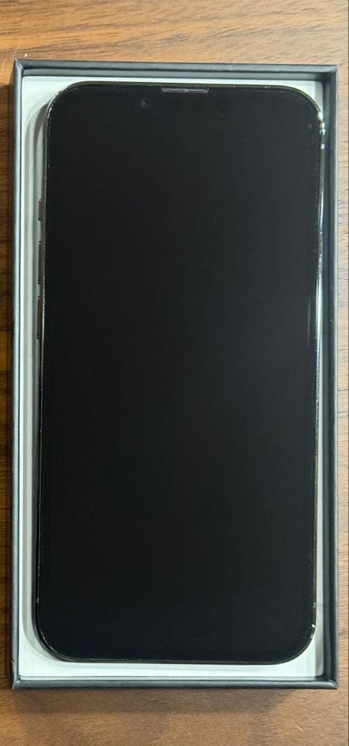 【美品】iPhone13 Pro 256G 海外版 シャッター音無 正月値引！