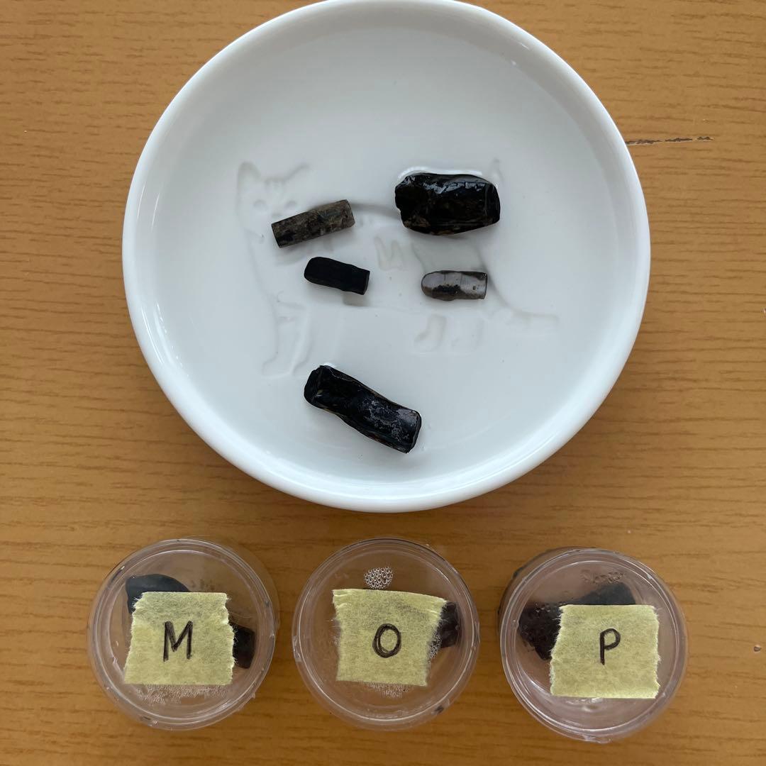 ウッドオパール　まとめて