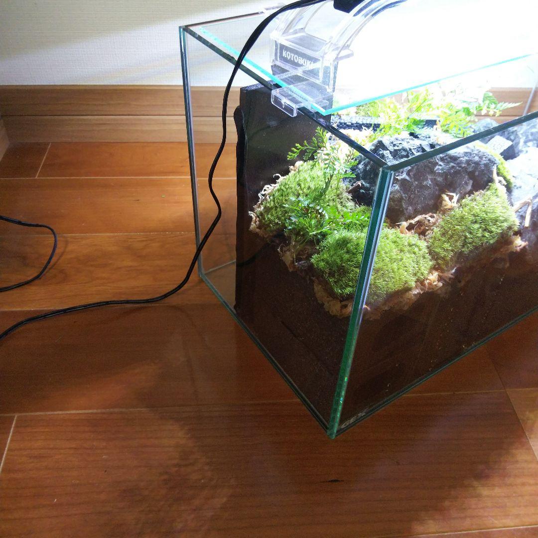 【受注生産】滝の流れるアクアテラリウム　イモリウム　苔テラリウム　テラリウム
