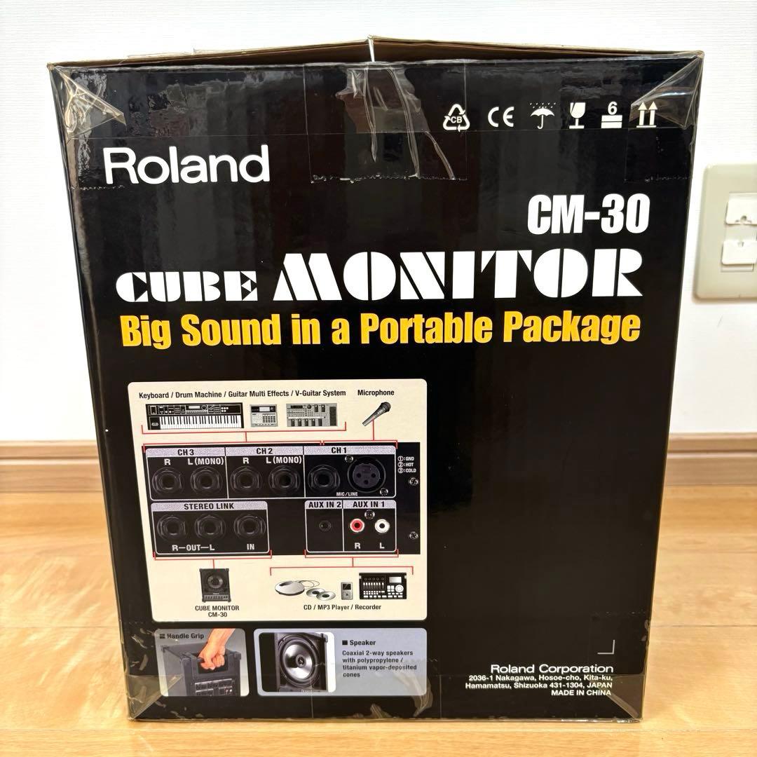 Roland ローランド CUBE CM-30 モニタースピーカー