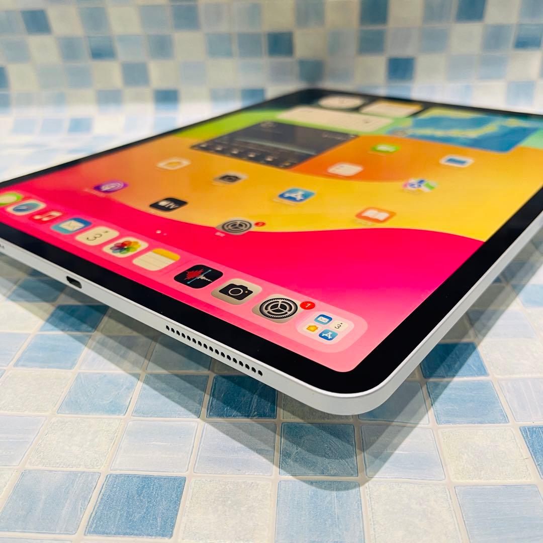 Wi-Fi iPad Pro12.9 第3世代 本体 256GB シルバー