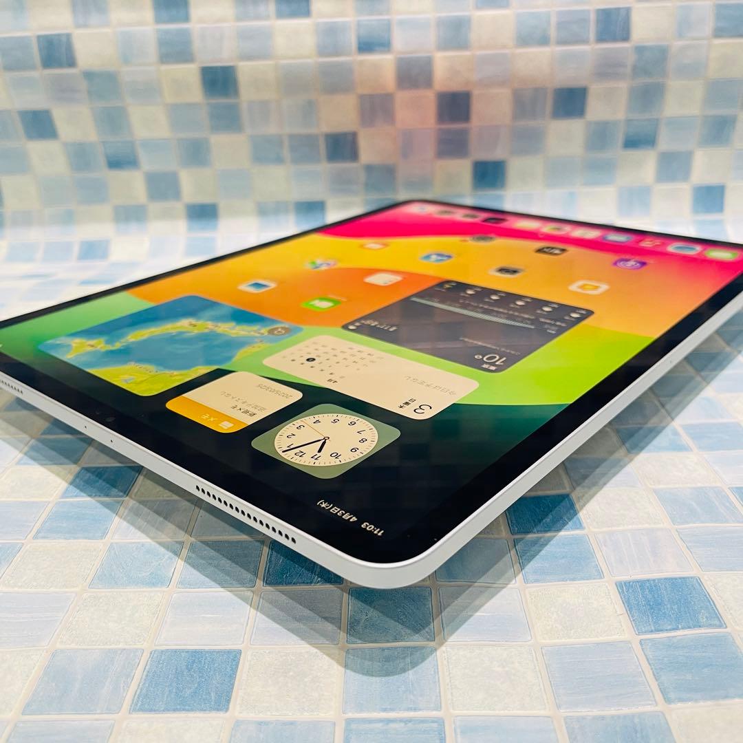Wi-Fi iPad Pro12.9 第3世代 本体 256GB シルバー