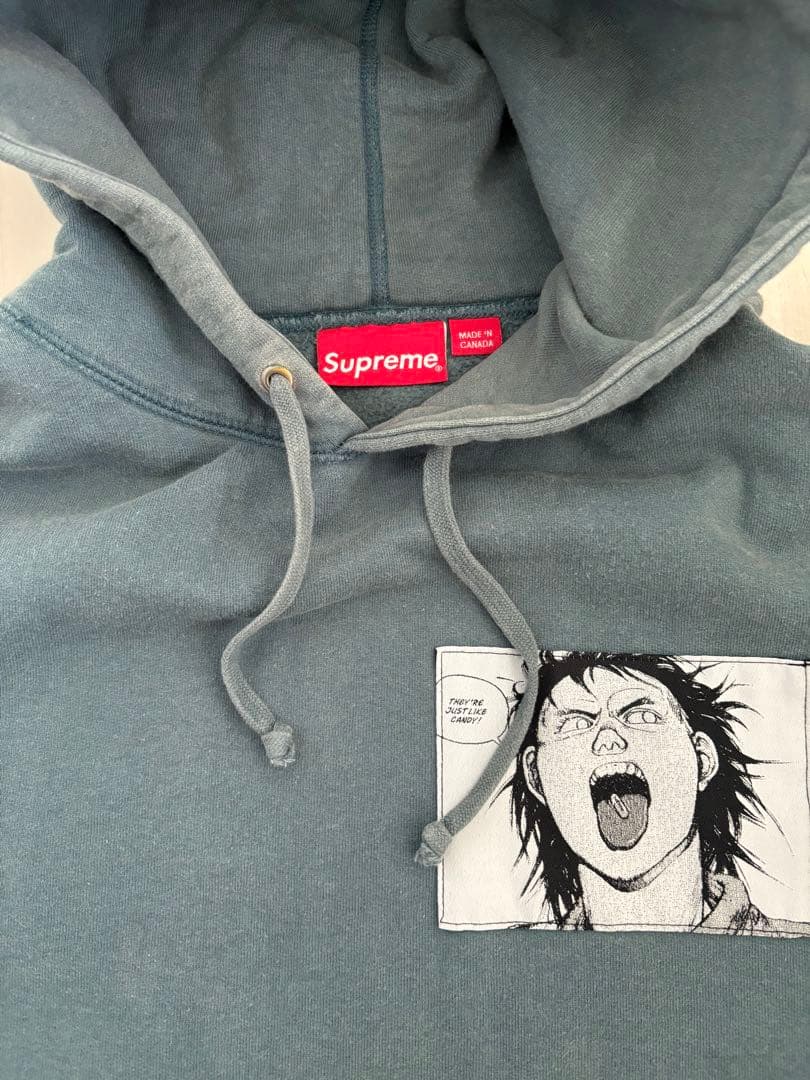 supreme akira 本田翼 Patches Hooded