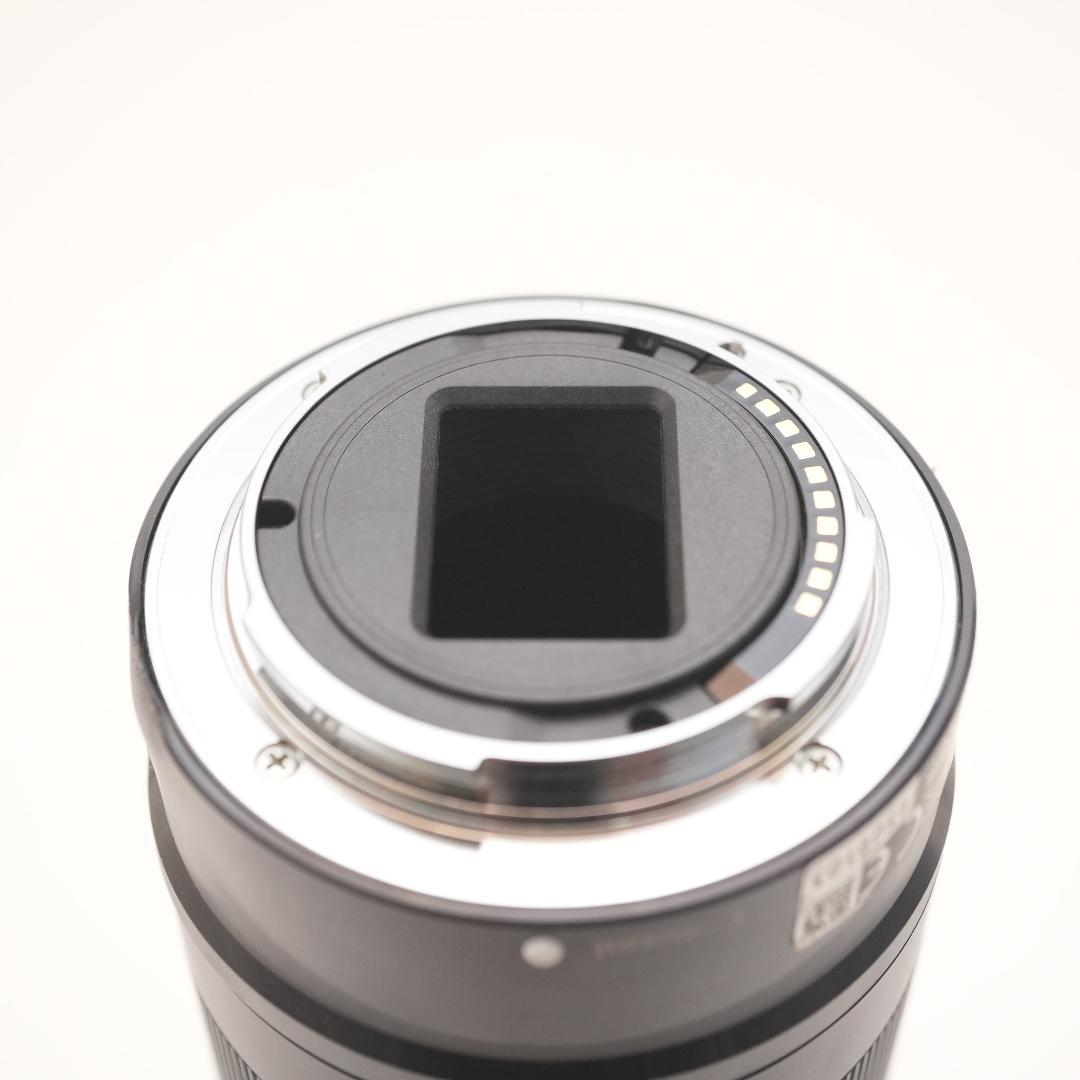 ソニー 望遠レンズ E55-210 F4.5-6.3 OSS SEL55210