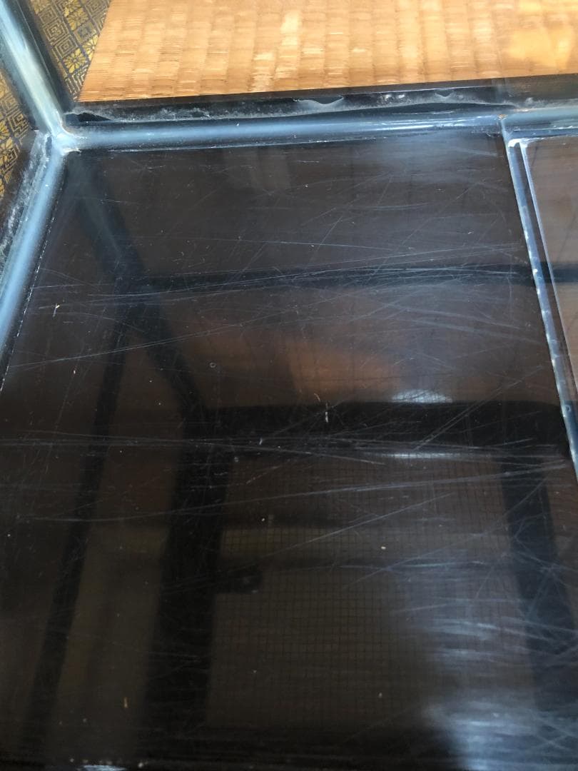 ガラスケージ ケースバイケース 60Mサイズ みどり商会