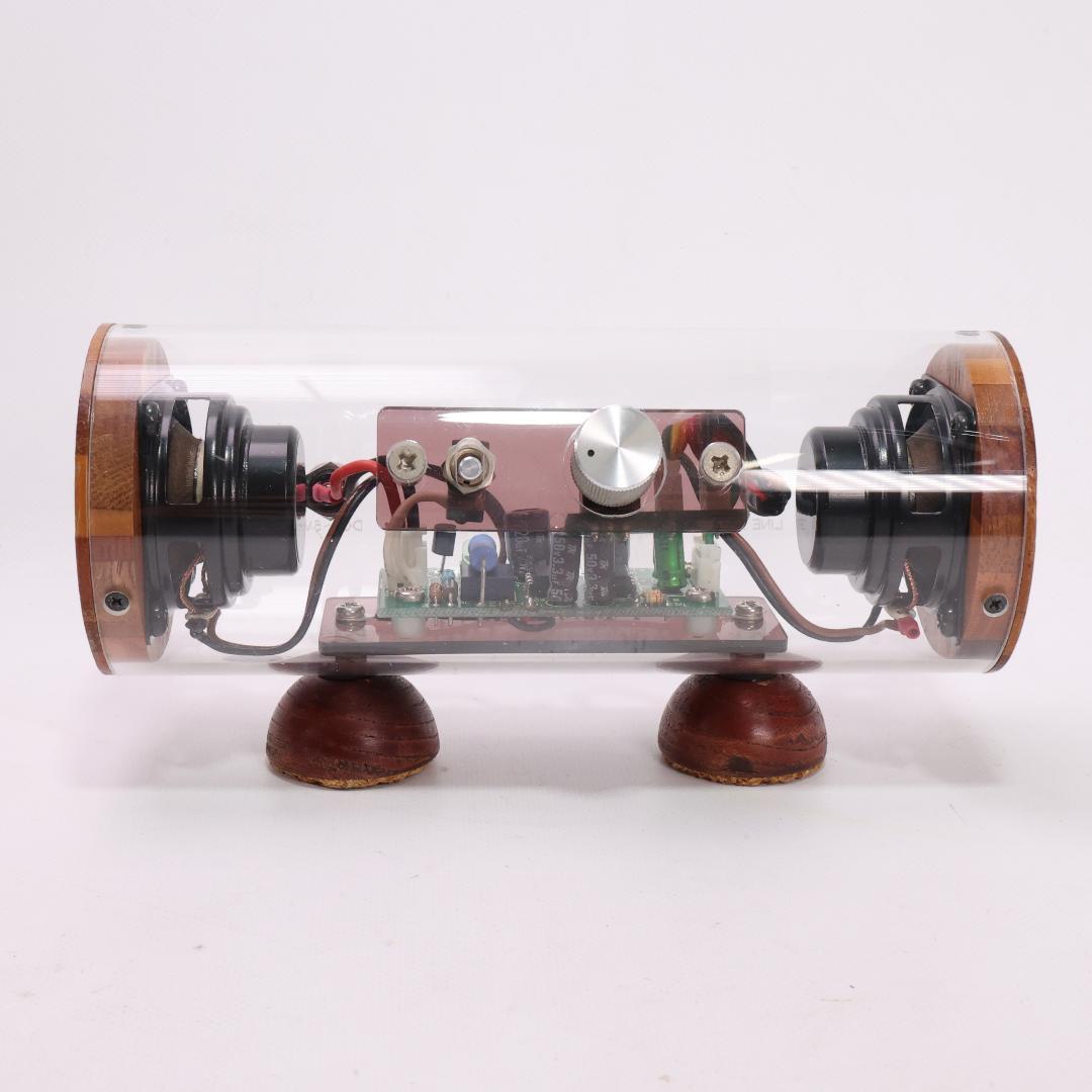 エムズシステム M’s System 波動スピーカー スケルトン