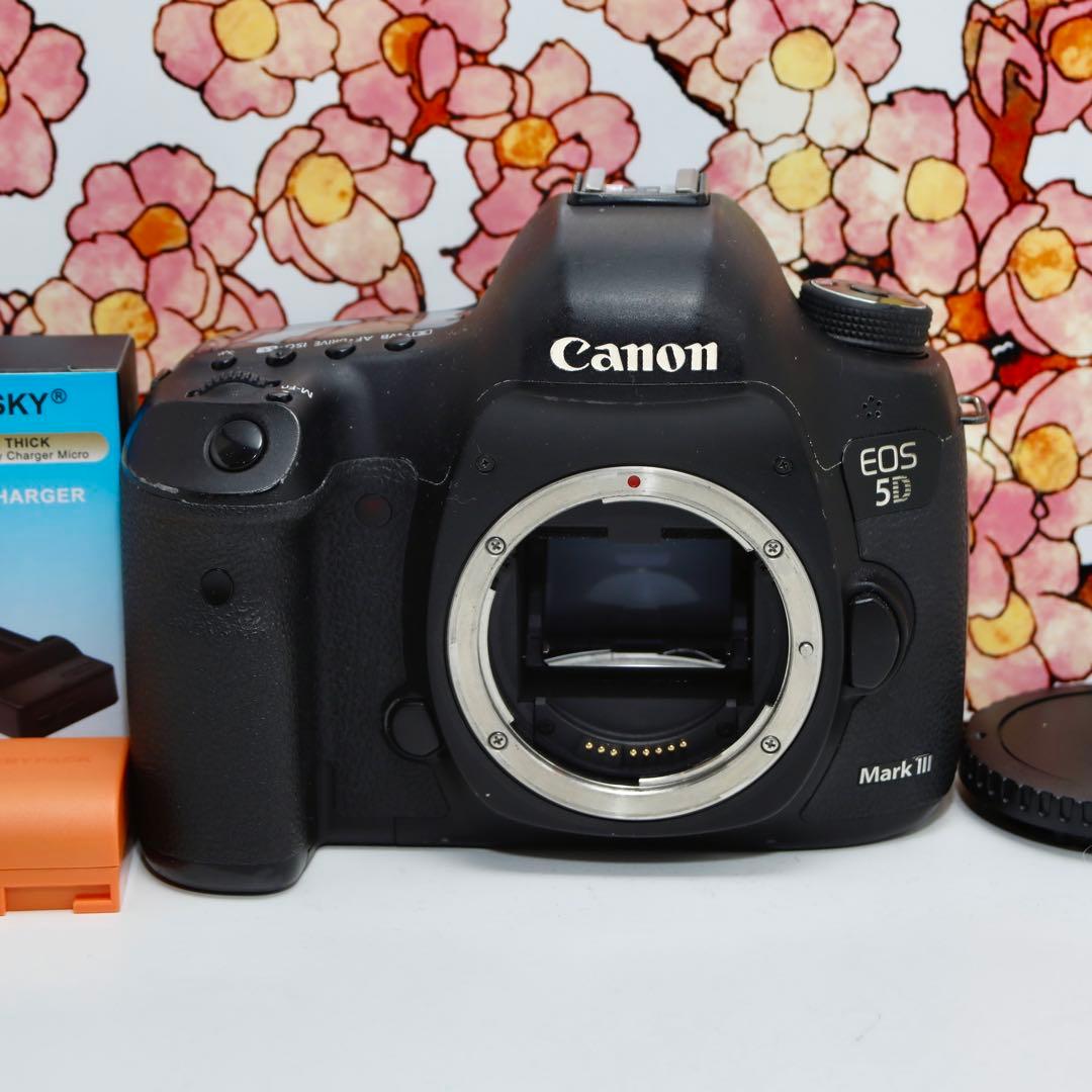❤堅牢の5D系列❤キヤノン EOS 5D mark Ⅲ❤️