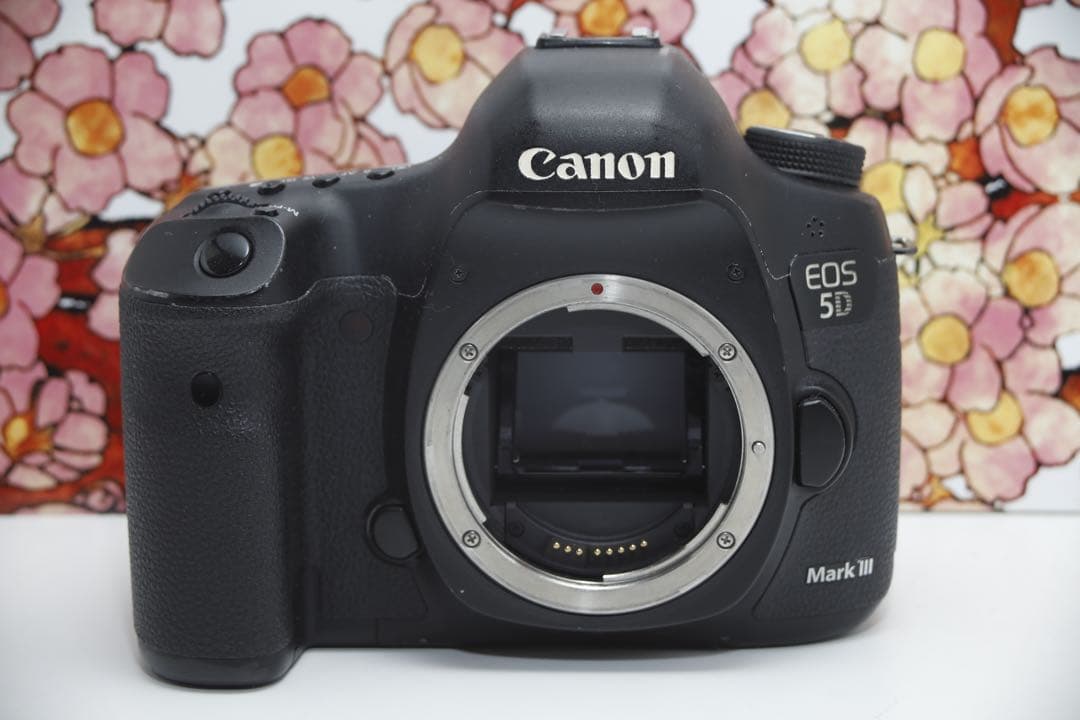 ❤堅牢の5D系列❤キヤノン EOS 5D mark Ⅲ❤️