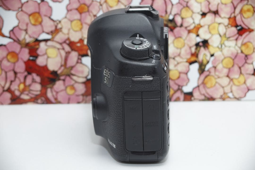 ❤堅牢の5D系列❤キヤノン EOS 5D mark Ⅲ❤️