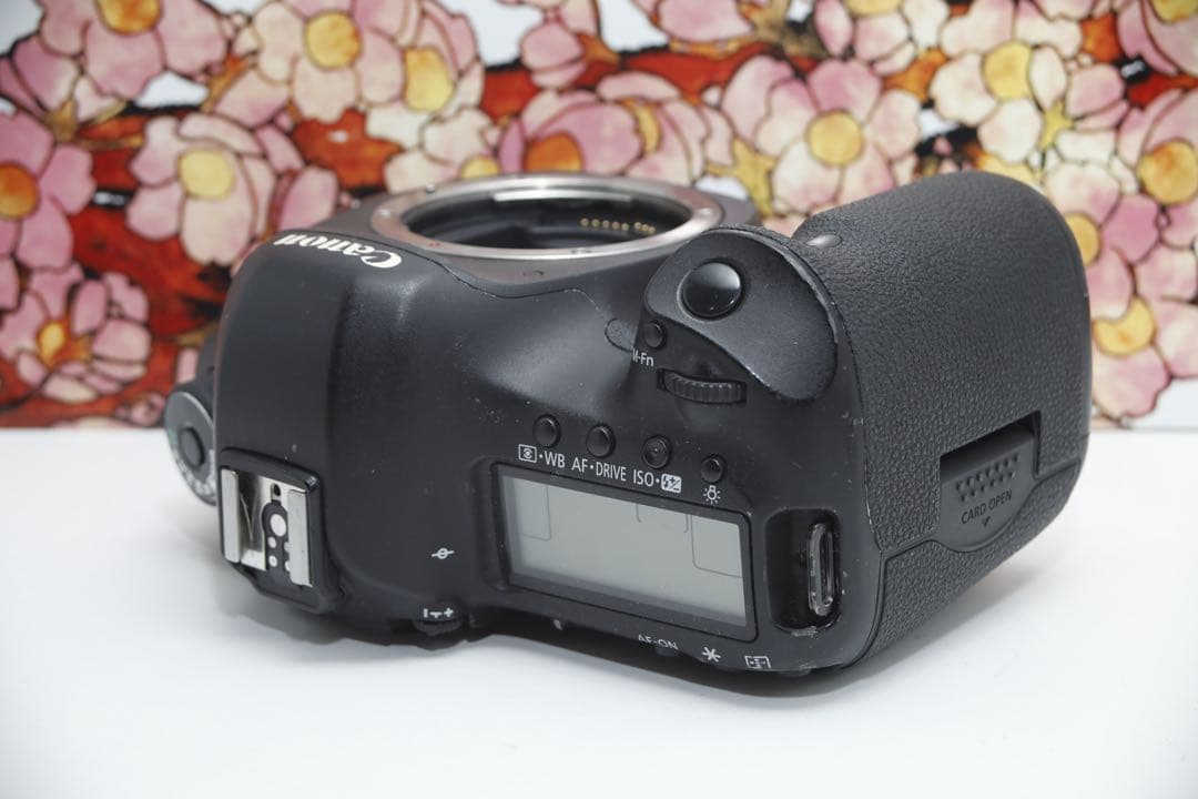 ❤堅牢の5D系列❤キヤノン EOS 5D mark Ⅲ❤️