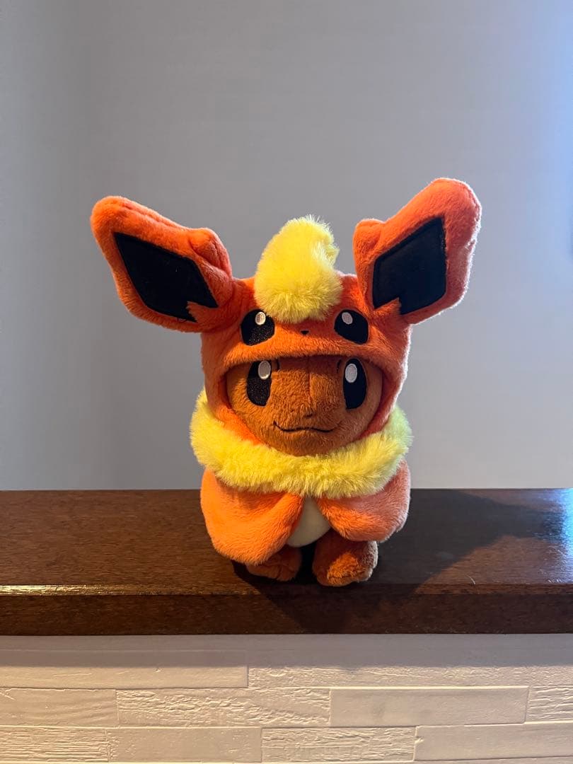 ポンチョを着たイーブイセット