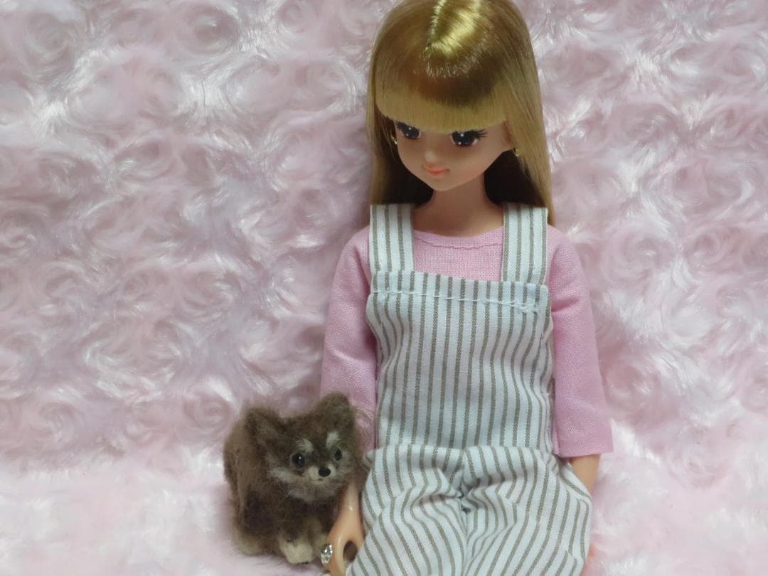 羊毛フェルト 犬 チワワ チョコタン パーティーカラー ミニチュアドールハウス