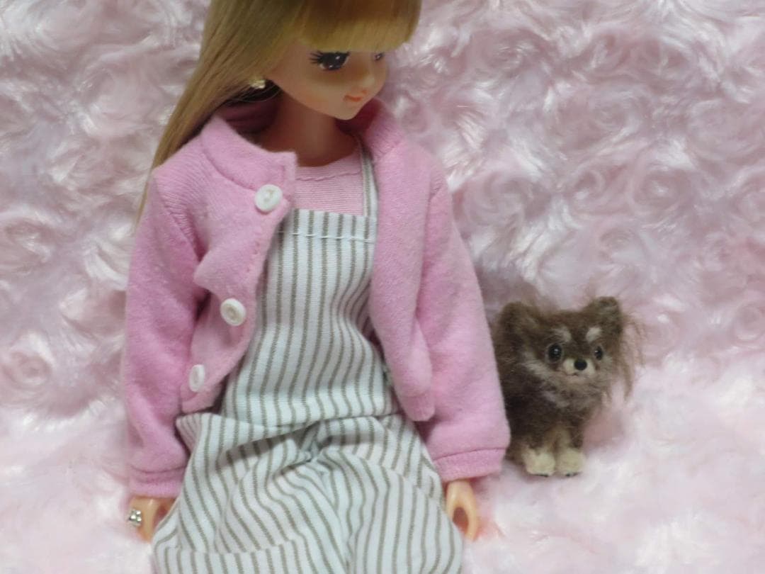羊毛フェルト 犬 チワワ チョコタン パーティーカラー ミニチュアドールハウス