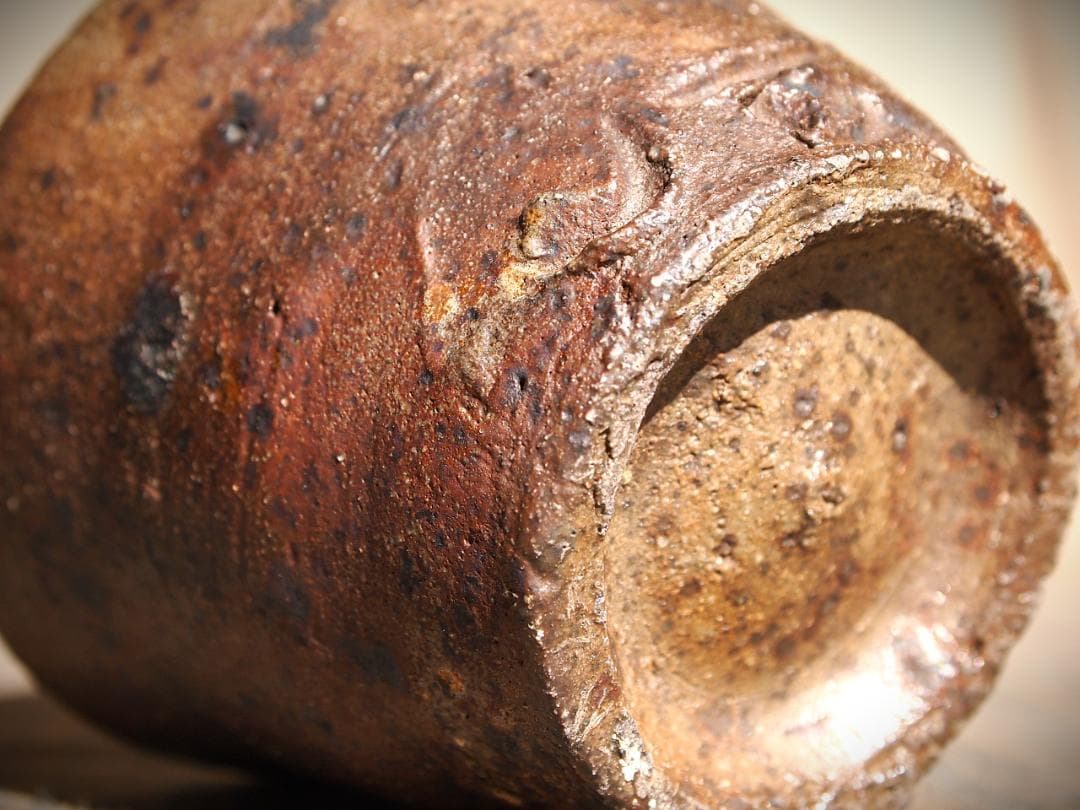 人気作家★森岡成好★南蛮【窯変】酒器（ぐいのみ）