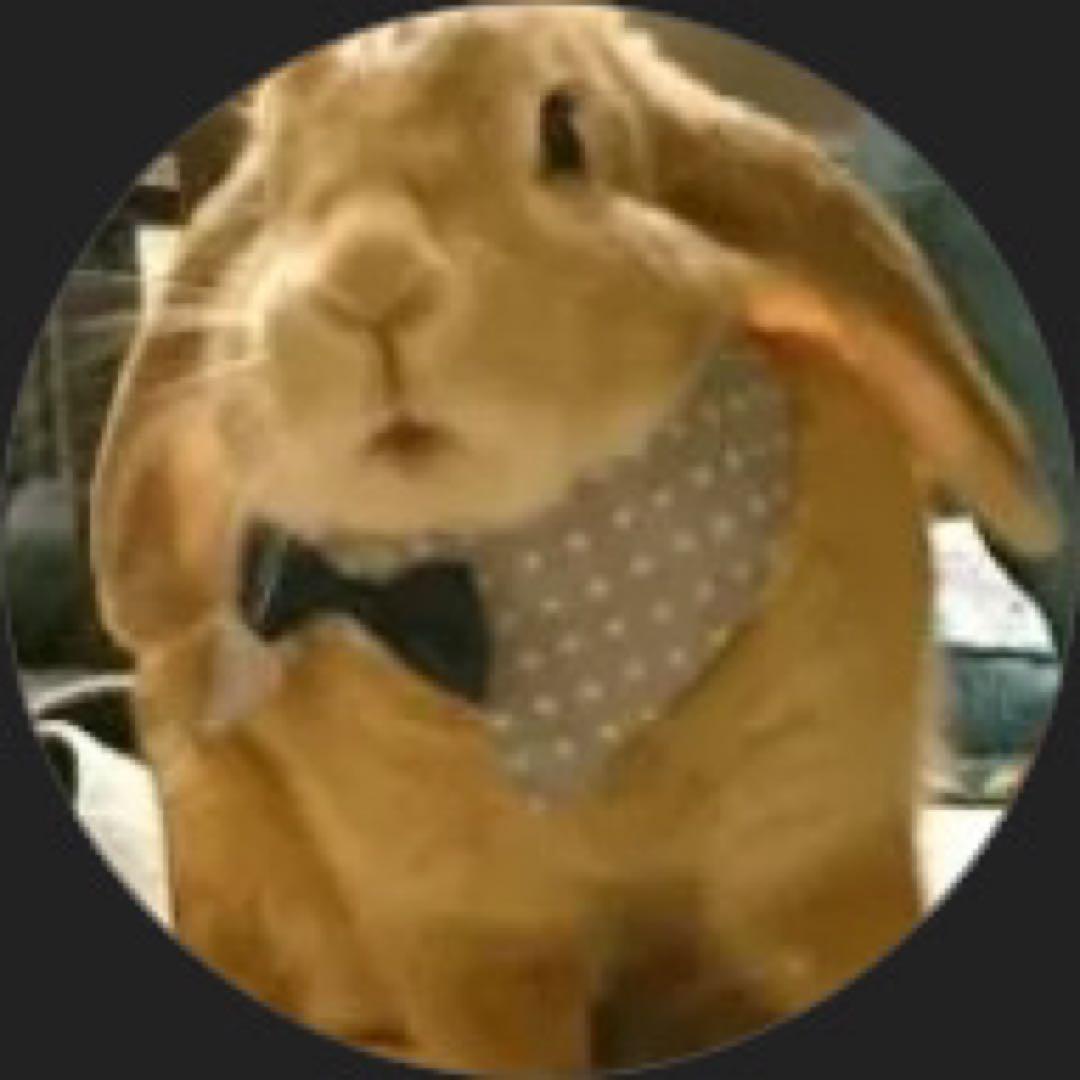 さやぴーさん専用　ワークデスク