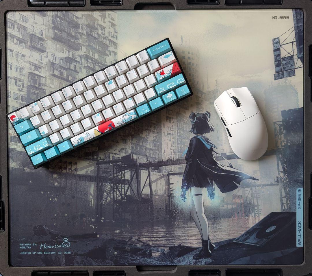 SP-005 Desolate Yume 限定版 WALLHACK No.590