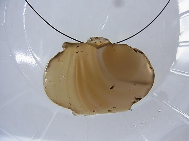 ★A1601★古代石 (203)　平玉 アゲートビーズ　瑪瑙　護符石　とんぼ玉