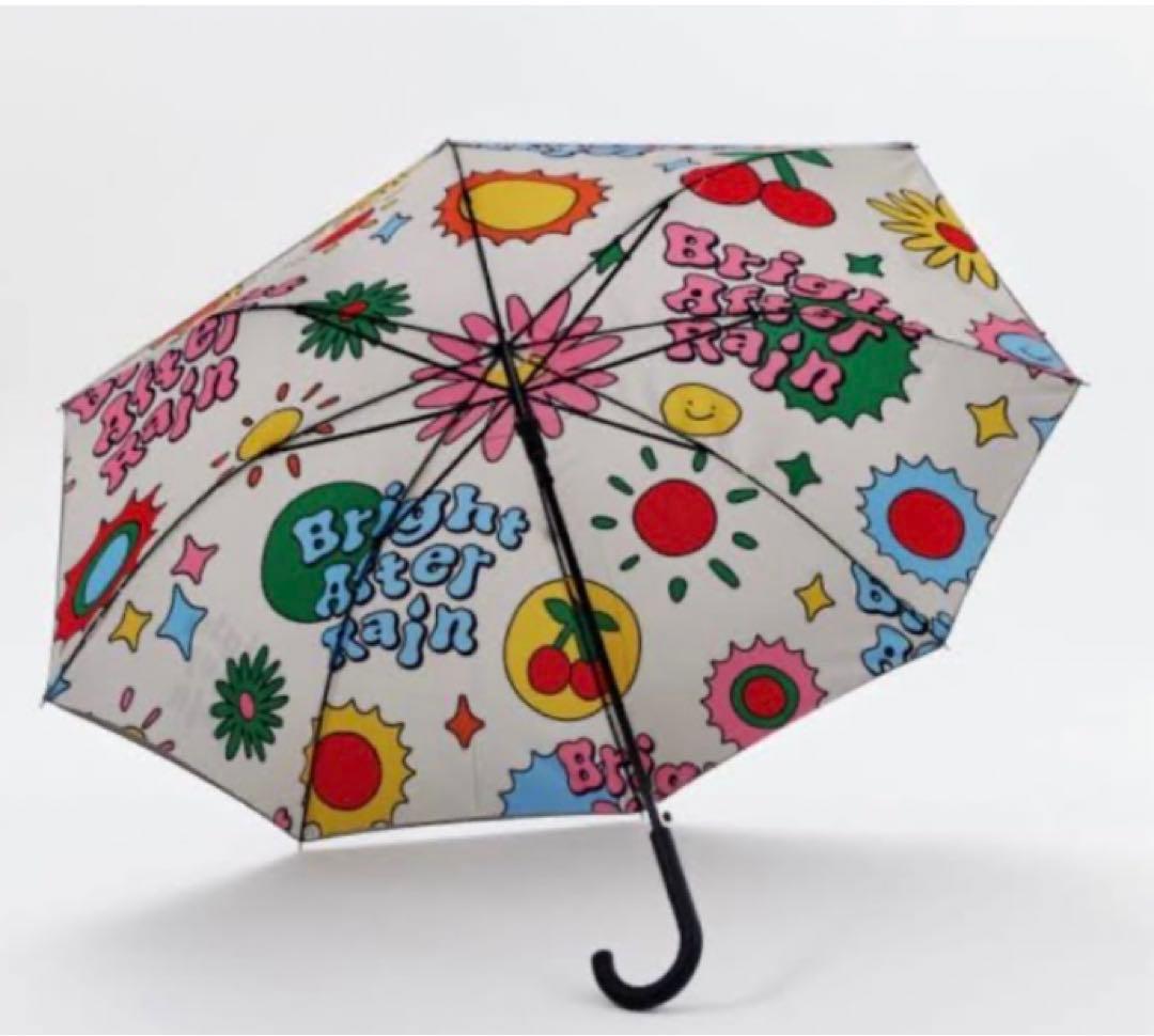 SEVENTEEN エスクプス　スンチョル　アーティストメイド　傘