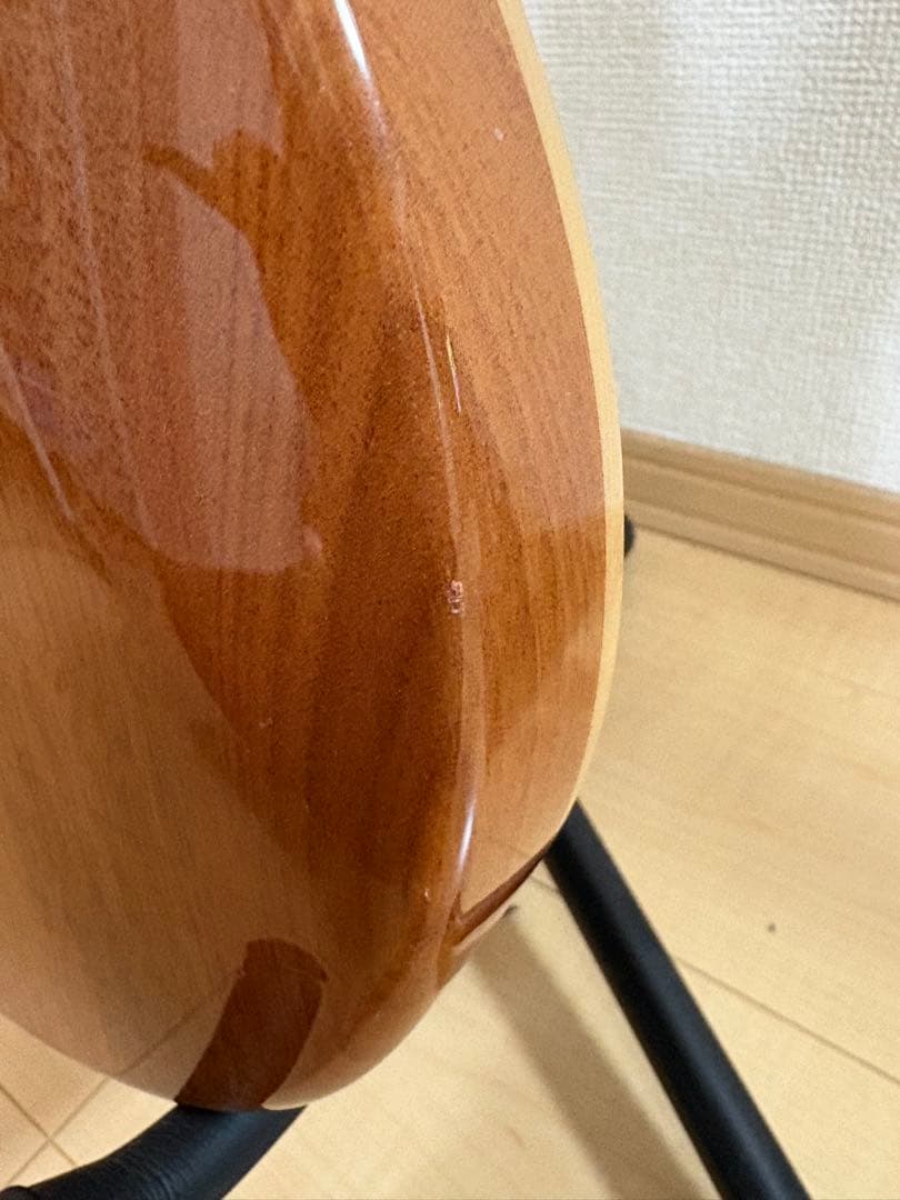 【たいちゃんママ】PRS SE Custom24Trampas Green